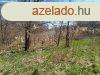 Elad fldterlet Srfimizd, 	Szlhegyi t