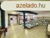 Elad 580m2-es Telephely, Hatvan