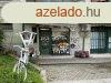 Elad 45 nm-es zlet Gyr