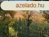 Elad 2740 nm-es Feljtott Tglalaks Kvgszls
