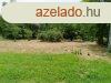 PTSI TELEK ELAD BUZSK-CSISZTAPUSZTA - Buzsk