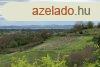 Panorms ingatlan elad! - Ktcse