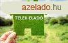 Nylon csendes utcban 845 m2-es ptsi telek elad!