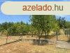 Lakhz dupla telken mhellyel - Aszd