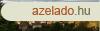 Tarnalelesz  panorms , patak melletti oldaln Kdrkocka  