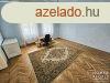 Elad laks, Szeged!