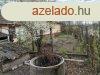 Elad csaldi hz Talms, 	Kzel a frdhz!