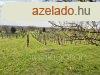 Felpc - zrtkerti ingatlan elad