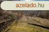 Hollhzn 1386m2 - es telek elad. - Hollhza