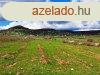 Tjpanorms,telepls kzeli- elad MEZGAZDASGI TERLET Z
