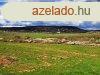Tjpanorms,telepls kzeli- elad MEZGAZDASGI TERLET Z