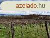Tjpanorms,telepls kzeli- elad MEZGAZDASGI TERLET Z