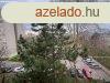 Oroszlnyon, a Npekbartsga utcban 2 szobs laks elad
