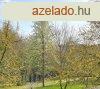 ptsi telek a Balaton-felvidki Nemzeti Parkban - Vszoly