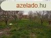 Elad 104m2-es Csaldi hz, Besenytelek