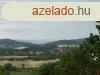 Rszpanorms Pince-prshz - Pcsely