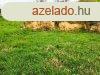 Elad 1013 nm-es Feljtott zlet Kkny