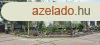 Elad csaldi hz Sksd, 	Dzsa Gyrgy t