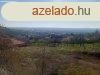 Elad 765 nm-es Csaldi hz Pcs Mecsekoldal/rg 