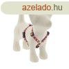 Lupine Roman hm (Spring Blush 1,25 cm szles 31-50 cm)