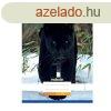 Fzet, A4, sima, 80-32, llatos mintk, 12 db/csomag Nebulo
