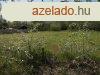 Nyugalom szigete-csendes let - Csomd