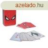 Krtyajtk Spider Man (Marvel)