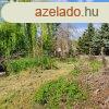 Gombn feljtst ignyl 150 m2 hz, 916 m2 telek