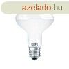 LED Izzk EDM 35487 F 60 W 10 W 68 W E27 810 Lm 932 Lm  7,9