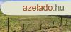 sszkzmves ptsi Telek Elad!